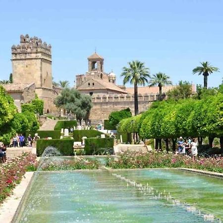 Apartamento Con Jardin Y Piscina En Córdoba Kültér fotó