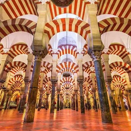 Apartamento Con Jardin Y Piscina En Córdoba Kültér fotó